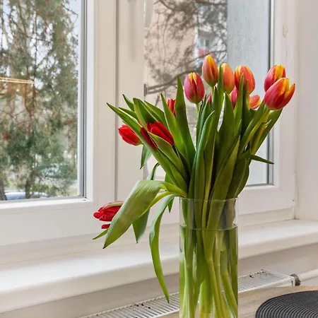 Apartment Klimatizovany Self Check-in Ruzinov Pressburg